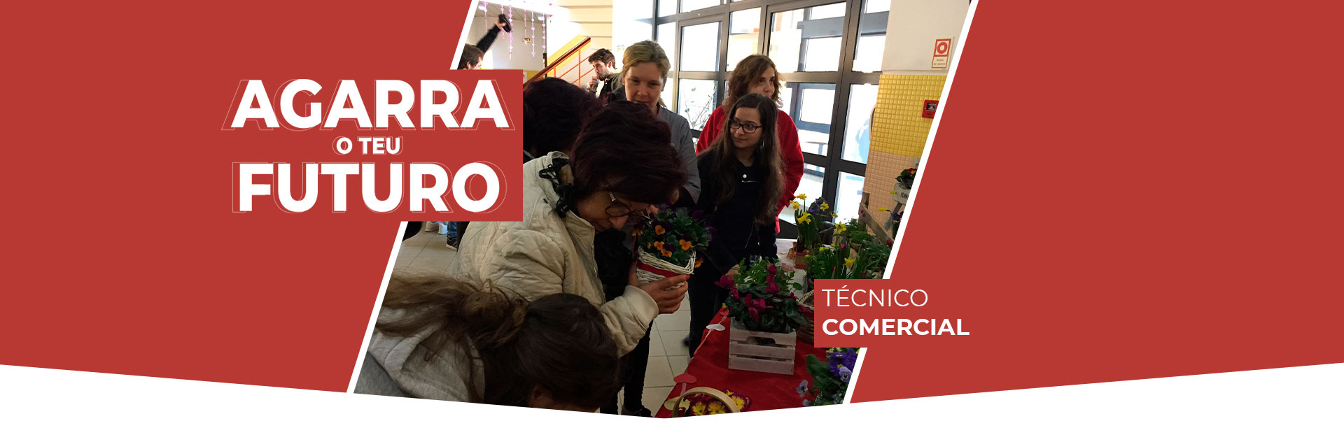 Técnico de Comércio